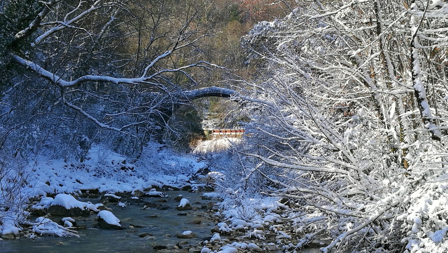 PONTE_PIA_NEVE