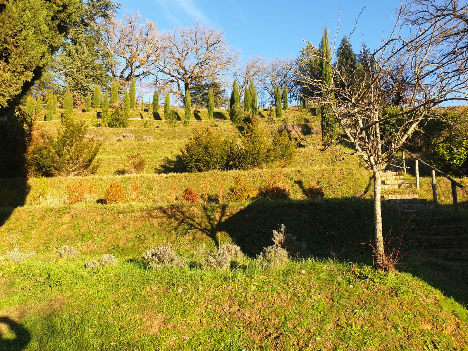 PANORAMICA_CAMPINO_6