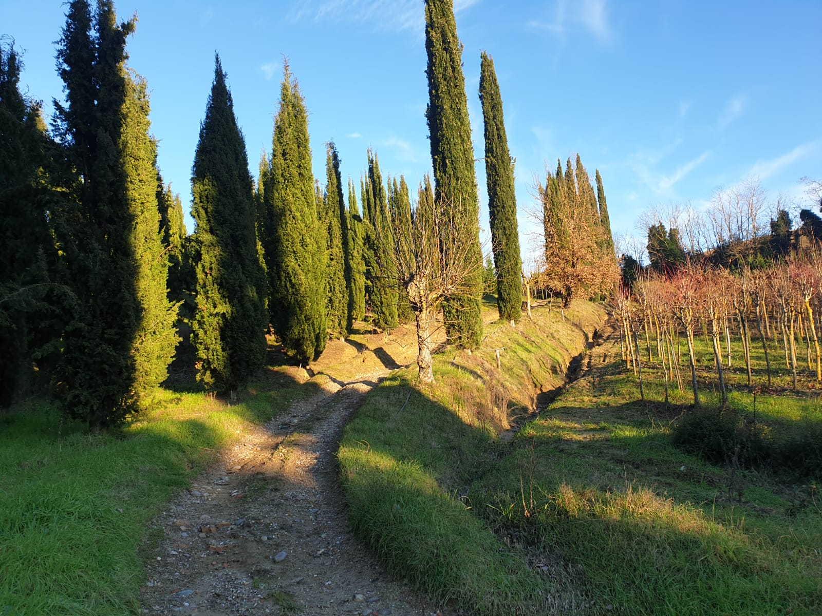 PANORAMICA_CAMPINO_3